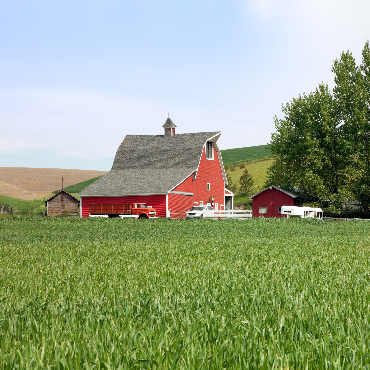 Why To<strong> Choose Us</strong>