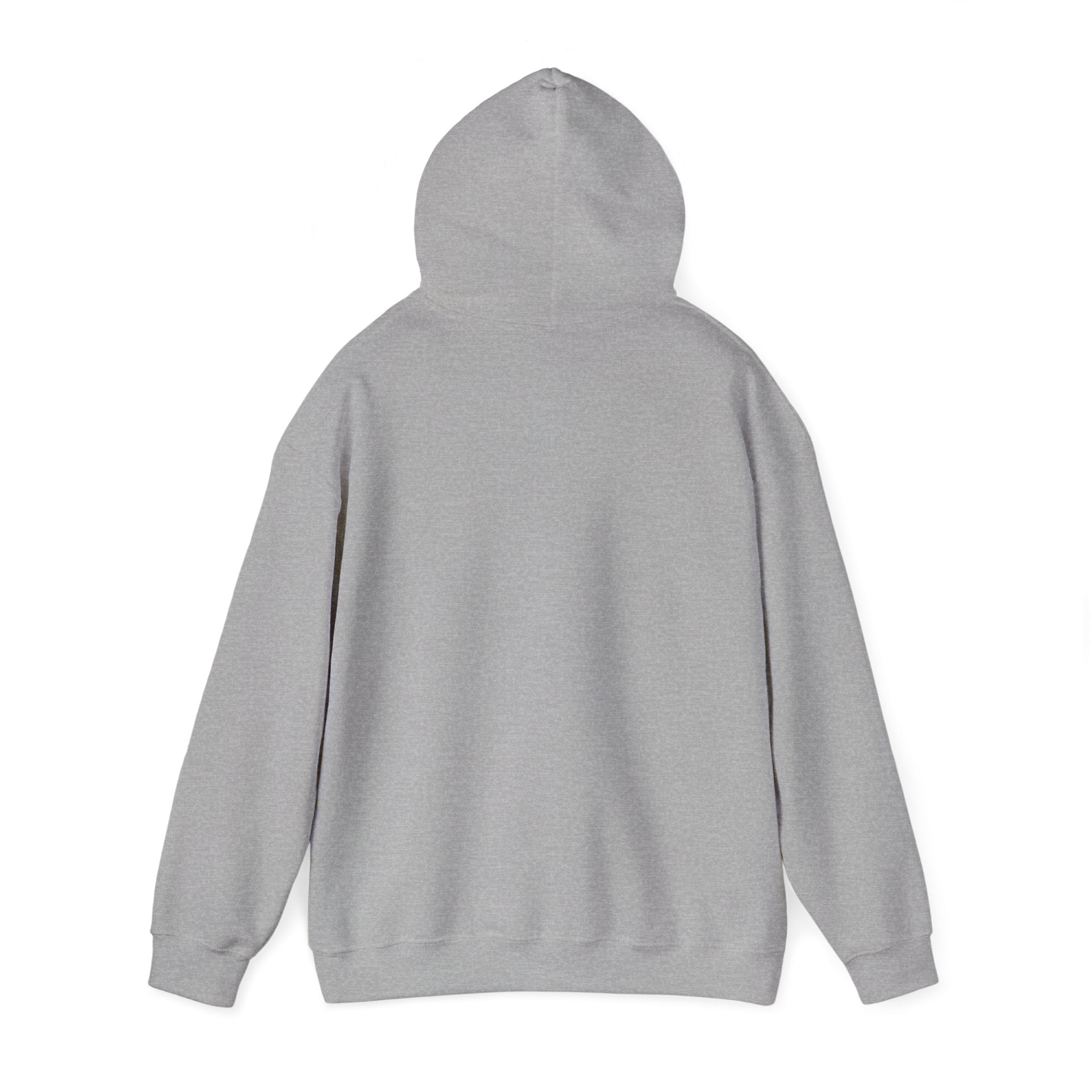 Anywhere Is My Office Hoodie — Unisex Fleece Pullover, Remote Work & Digital Nomad Gift (S–5XL) - SwiftNet WifiHoodiePrintify10823683325690458672Anywhere Is My Office Hoodie — Unisex Fleece Pullover, Remote Work & Digital Nomad Gift (S–5XL)BlackS
