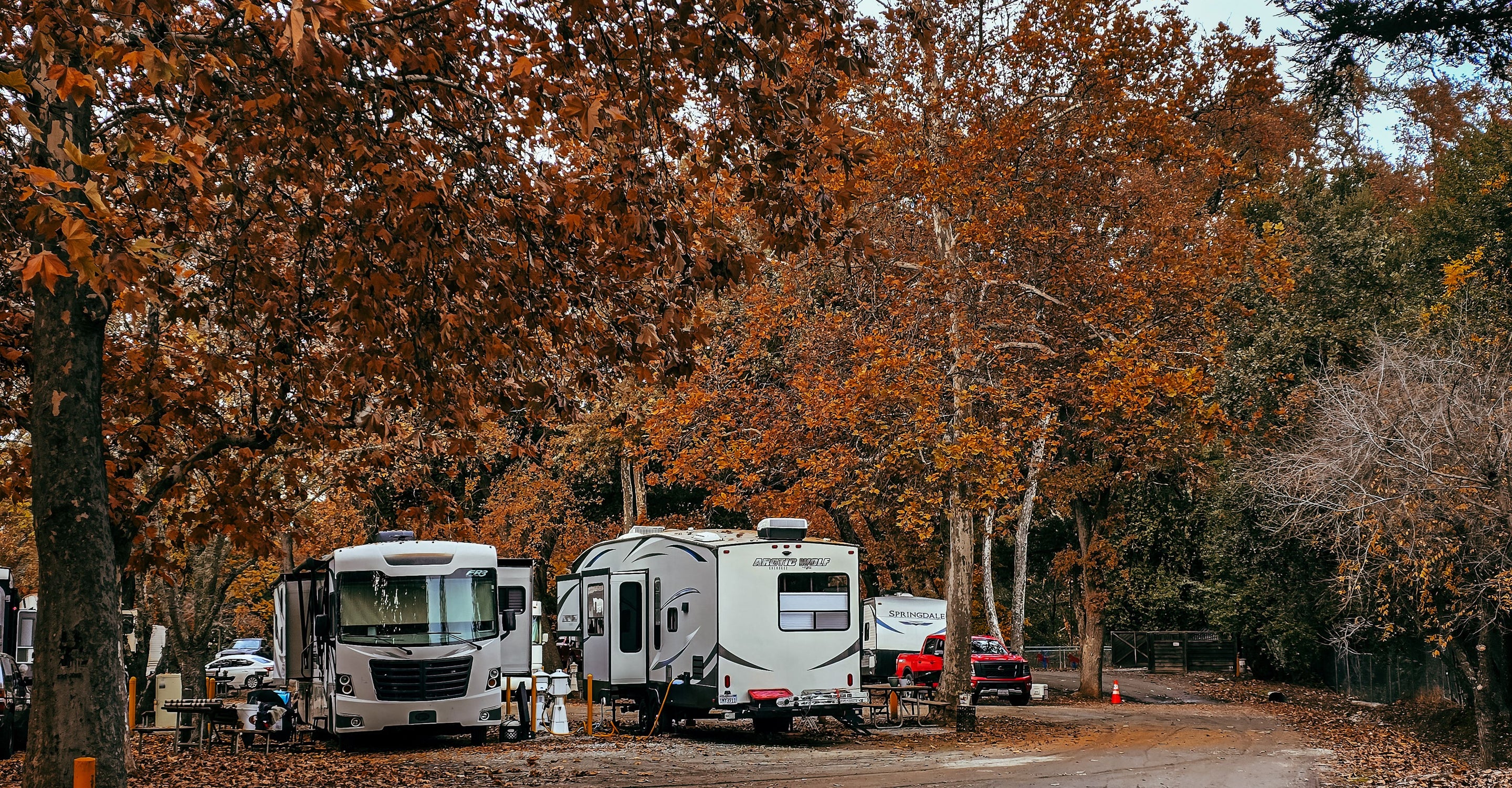 Travel trailers parked at a campground beneath a dense canopy of autumn trees